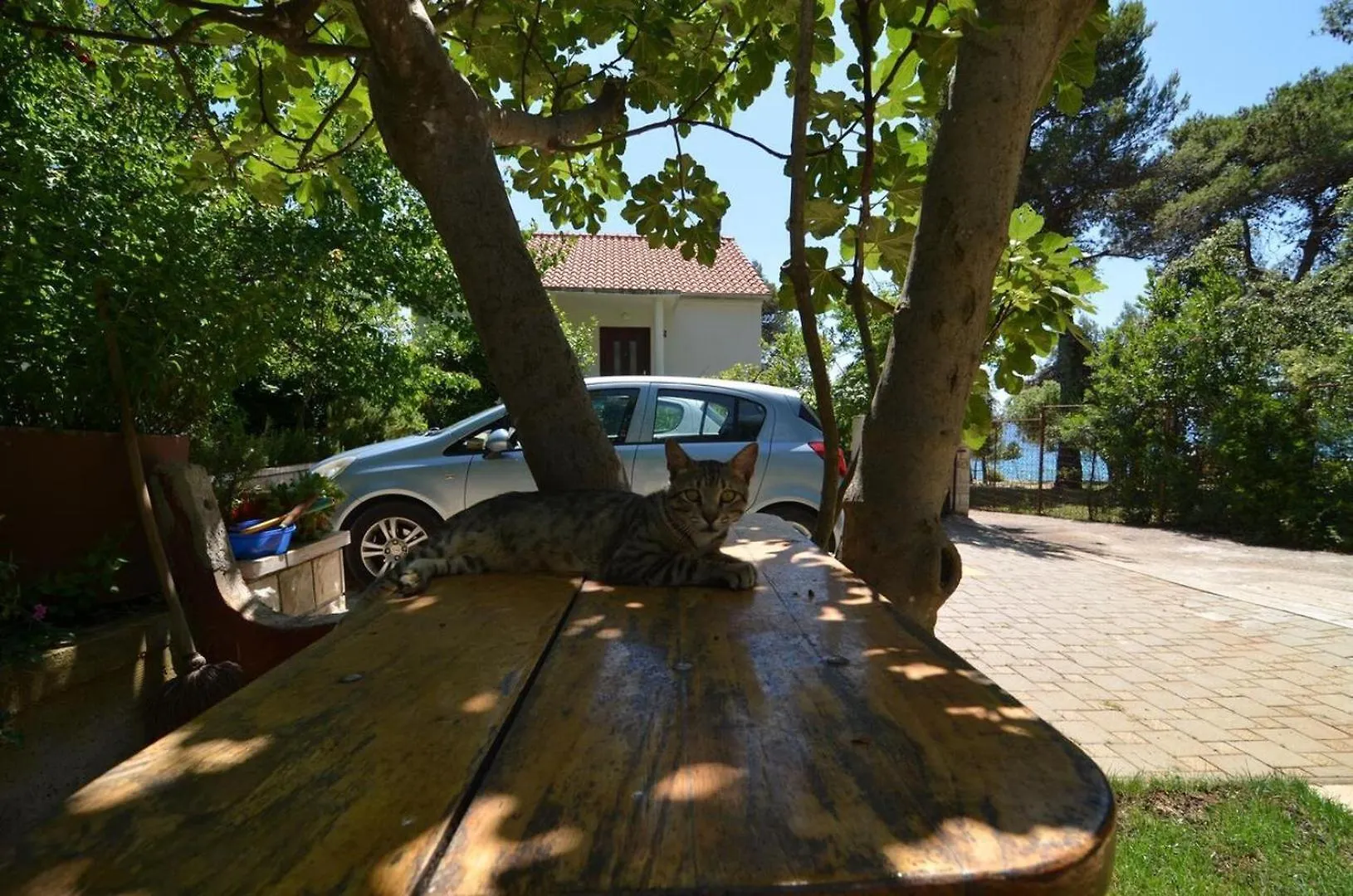Apartments Baradic Petrčane 0*,